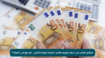 ارتفاع مفاجئ في سعر اليورو مقابل الجنيه اليوم الاثنين.. كم بلغ في البنوك؟